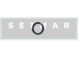 ORING ZF 0634.313.527