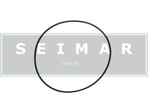 ORING ZF 0634.313.972