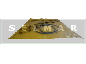 ORING POMPY JCB 20/950100