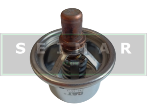 TERMOSTAT CAT 248-5513