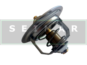 TERMOSTAT DOOSAN 300738-00084