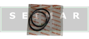 O-RING HITACHI XP00000862PV